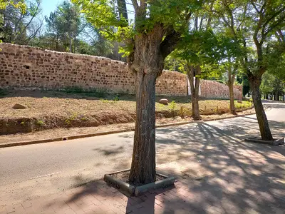 Monteagudo de las Vicarías: joya medieval de Soria con castillo y muralla