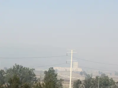Vecinos de Guadalajara vuelven tras el incendio