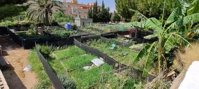 Huertos urbanos de Soria operativos en primavera de 2027